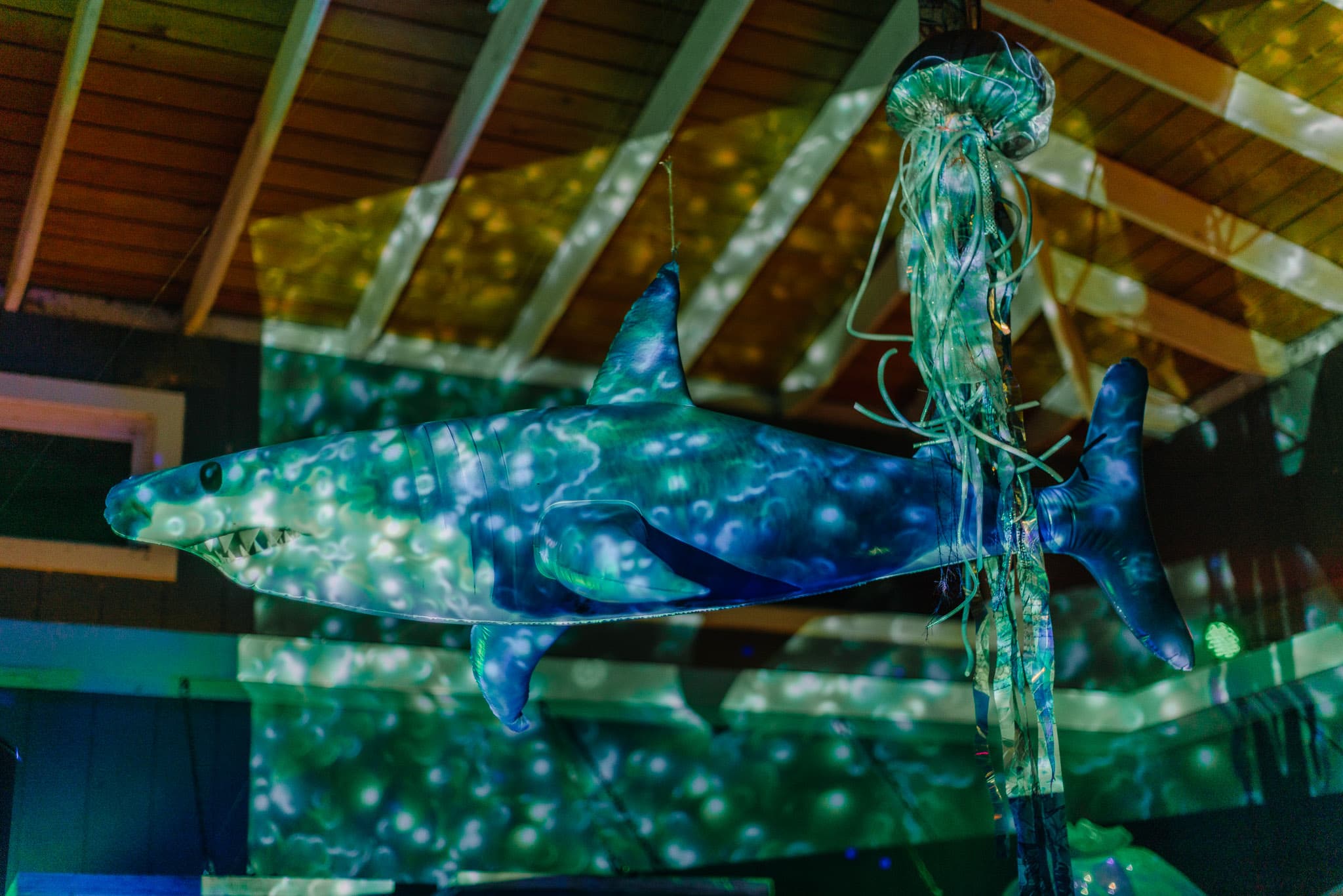Feeding Frenzy photo 68