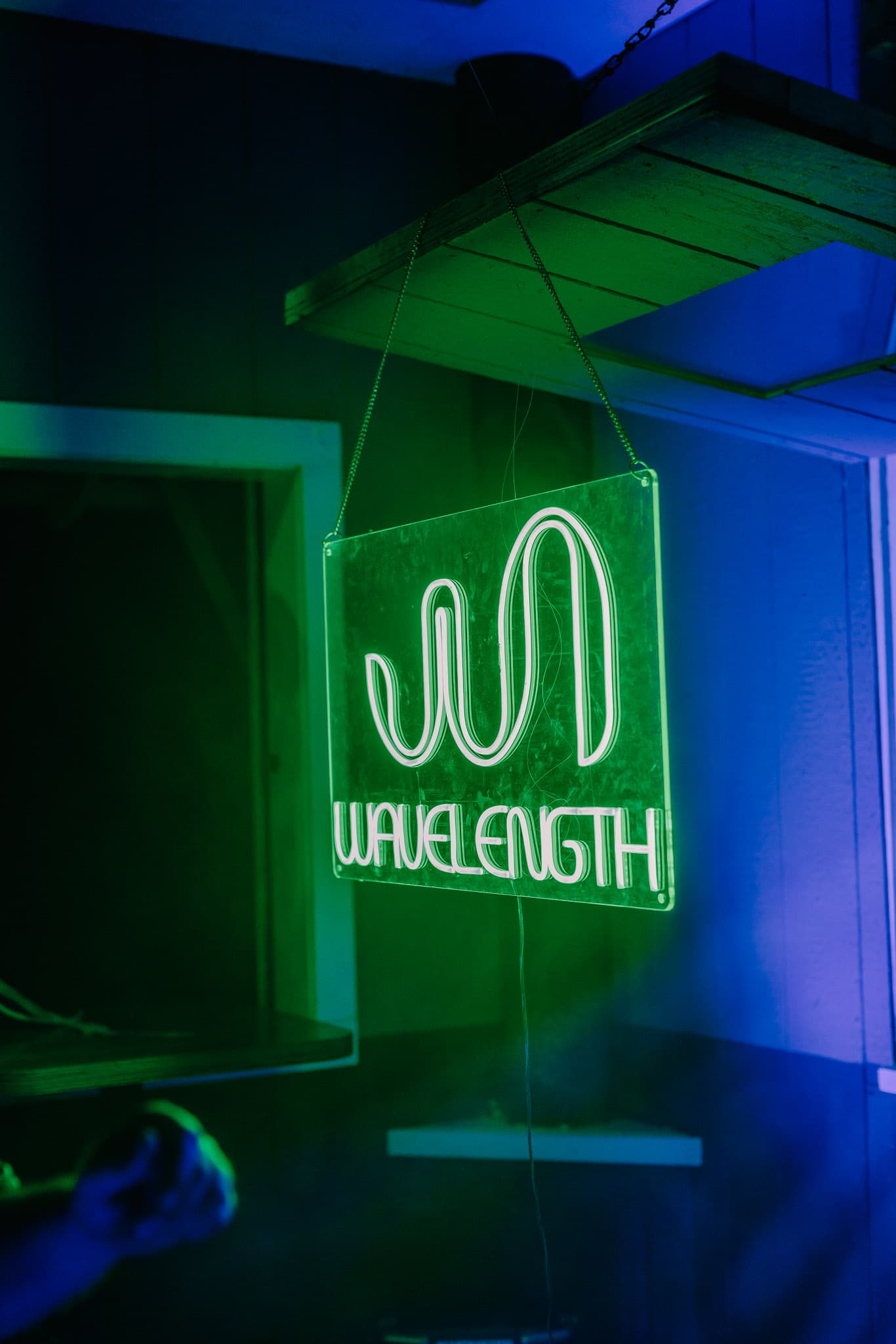 Feeding Frenzy photo 47